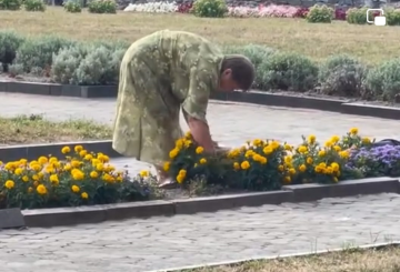 «Так, у нас крадуть: хто мільйони, а хто квіти». Містяни в соцмережі обурені зухвалим випадком на фортеці