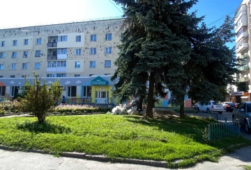 Зріжуть три ялини, щоб облаштувати стоянку біля Центру реабілітації дітей з інвалідністю