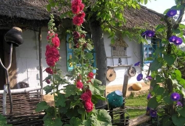 Такий собі Бецьо