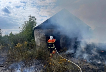 Через загоряння сухостою ледве не згорів деревообробний цех