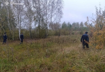 На Звягельщині тривають пошуки зниклої в лісі жінки