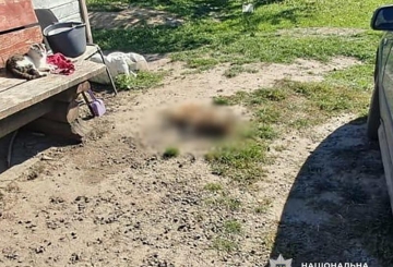 Убив собаку, бо той полював на його домашню птицю