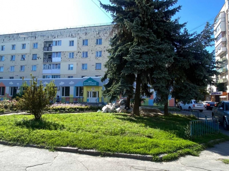 Зріжуть три ялини, щоб облаштувати стоянку біля Центру реабілітації дітей з інвалідністю