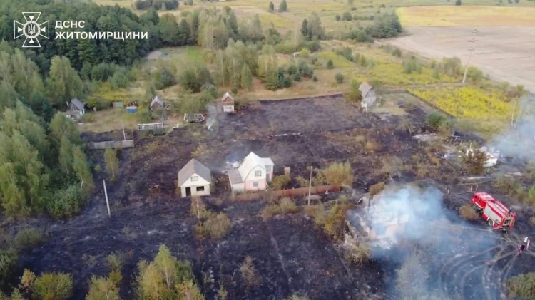 У Гульську через загоряння сухої трави згоріло 11 дачних будинків