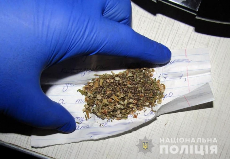 У Звягелі поліцейські вилучили наркотики у нетверезого водія