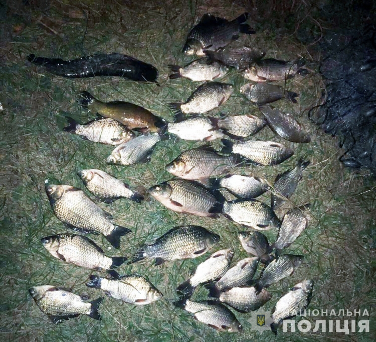 За 30 карасів, сома і лина жителя Городницької громади можуть покарати обмеженням волі