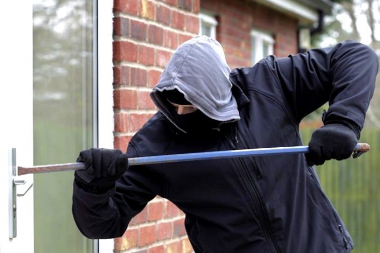 Звягельські поліцейські розшукали причетного до крадіжки