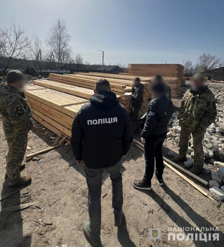 На Житомирщині поліцейські відправили на лаву підсудних чотирьох «чорних лісорубів»