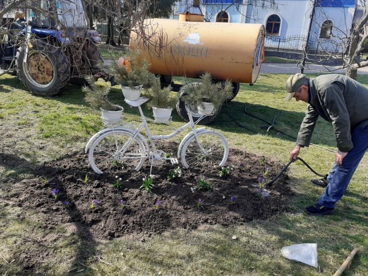 Благоустрій громади: робота КП «Звягельсервіс» протягом тижня