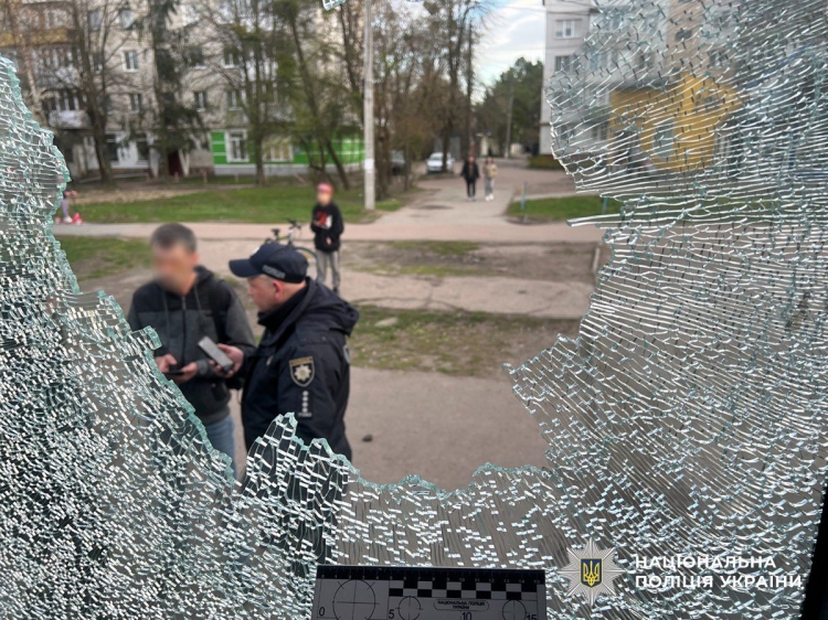 Через зауваження про собаку без намордника розбив каменем вікно в тролейбусі
