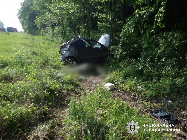 У ДТП на Звягельщині загинула жінка