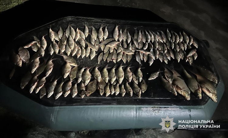 Незаконно наловили риби на… 220 тисяч гривень