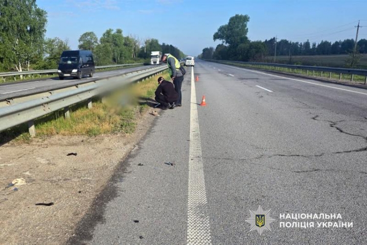 Водія, який насмерть збив чоловіка і втік із місця ДТП, взято під варту