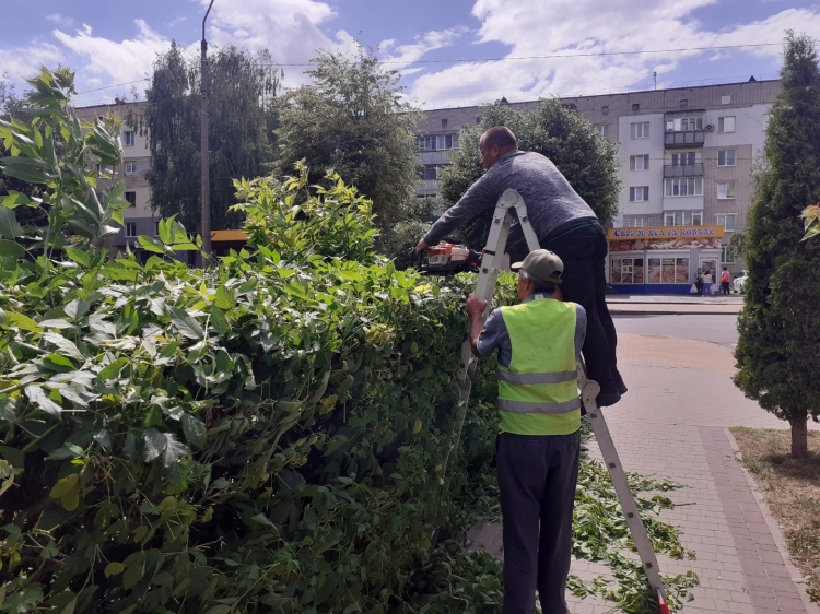 Благоустрій громади: робота КП «Звягельсервіс» протягом тижня