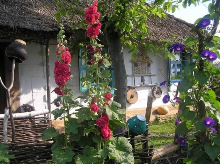 Такий собі Бецьо