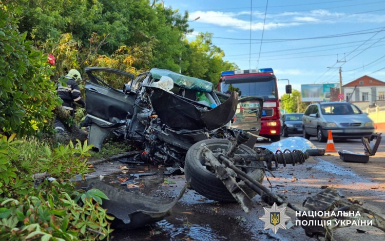 Поліцейські встановлюють свідків смертельної ДТП у Житомирі