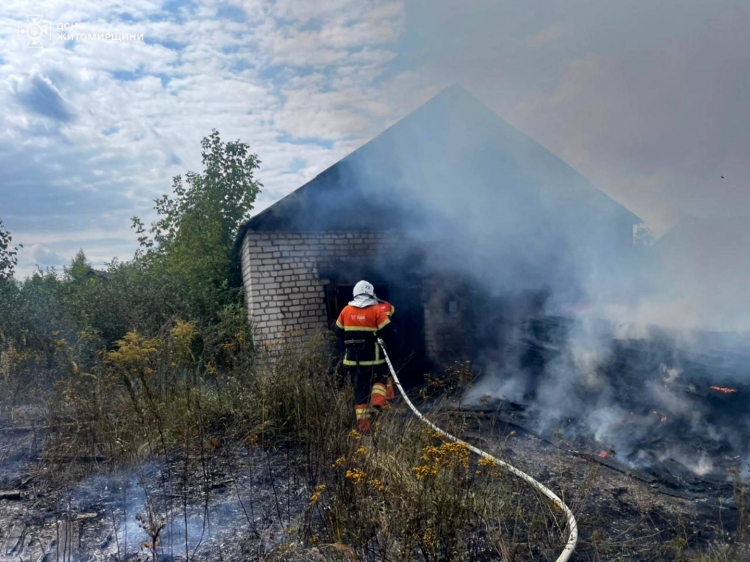 Через загоряння сухостою ледве не згорів деревообробний цех