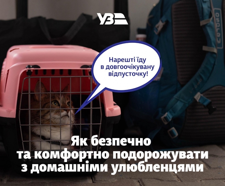 «Укрзалізниця» запровадила нові правила подорожей залізницею з домашніми тваринами