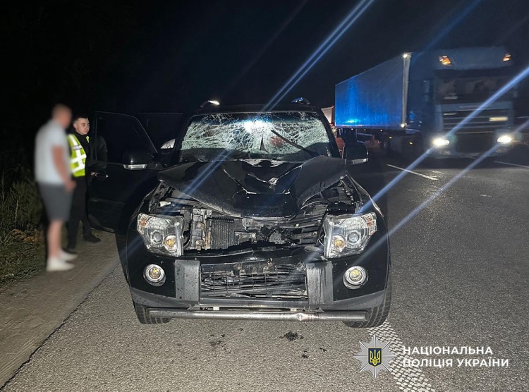 У ДТП в Житомирському районі загинув пішохід