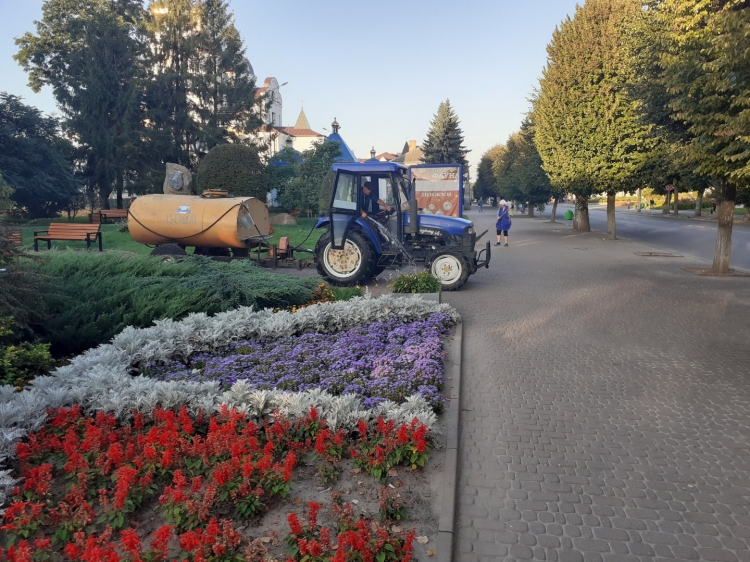 Благоустрій громади: робота КП «Звягельсервіс» протягом тижня