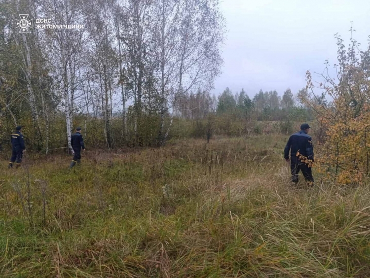 На Звягельщині тривають пошуки зниклої в лісі жінки