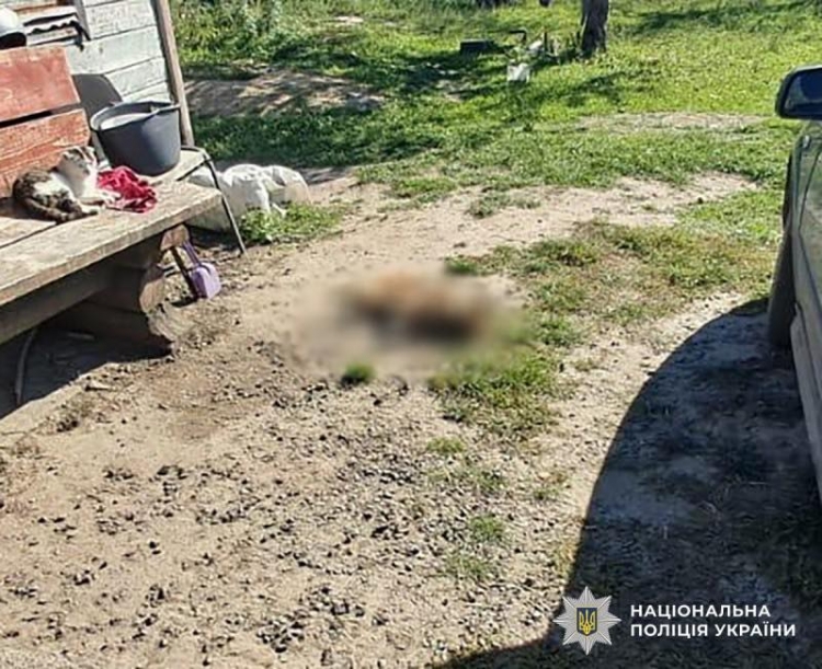 Убив собаку, бо той полював на його домашню птицю