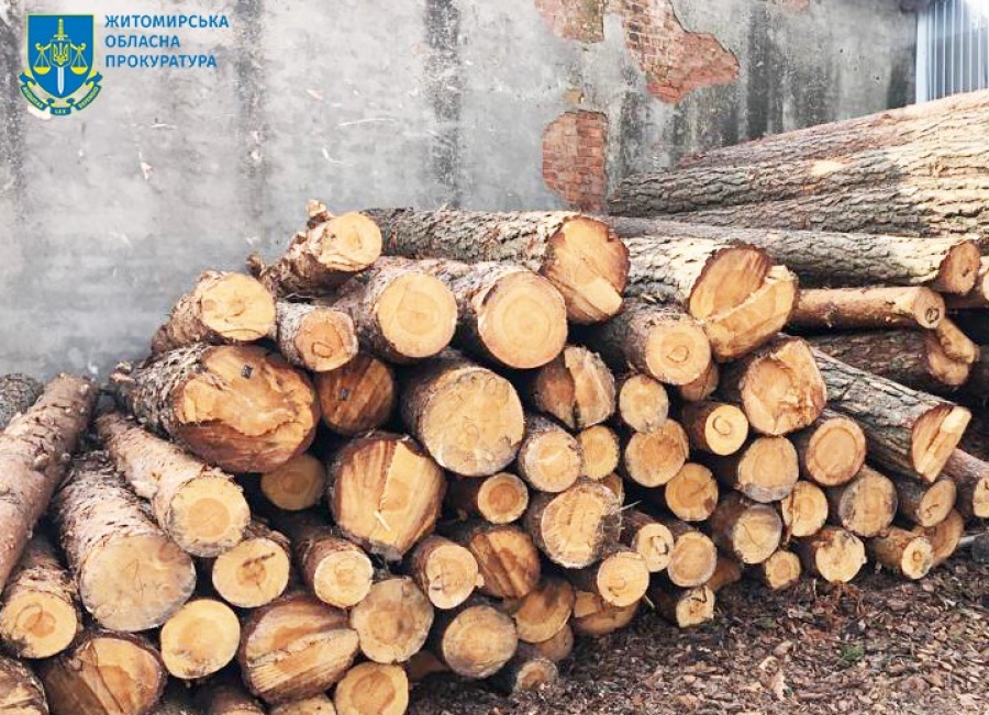Злочинне угруповання експортувало лісу на майже 43 млн грн