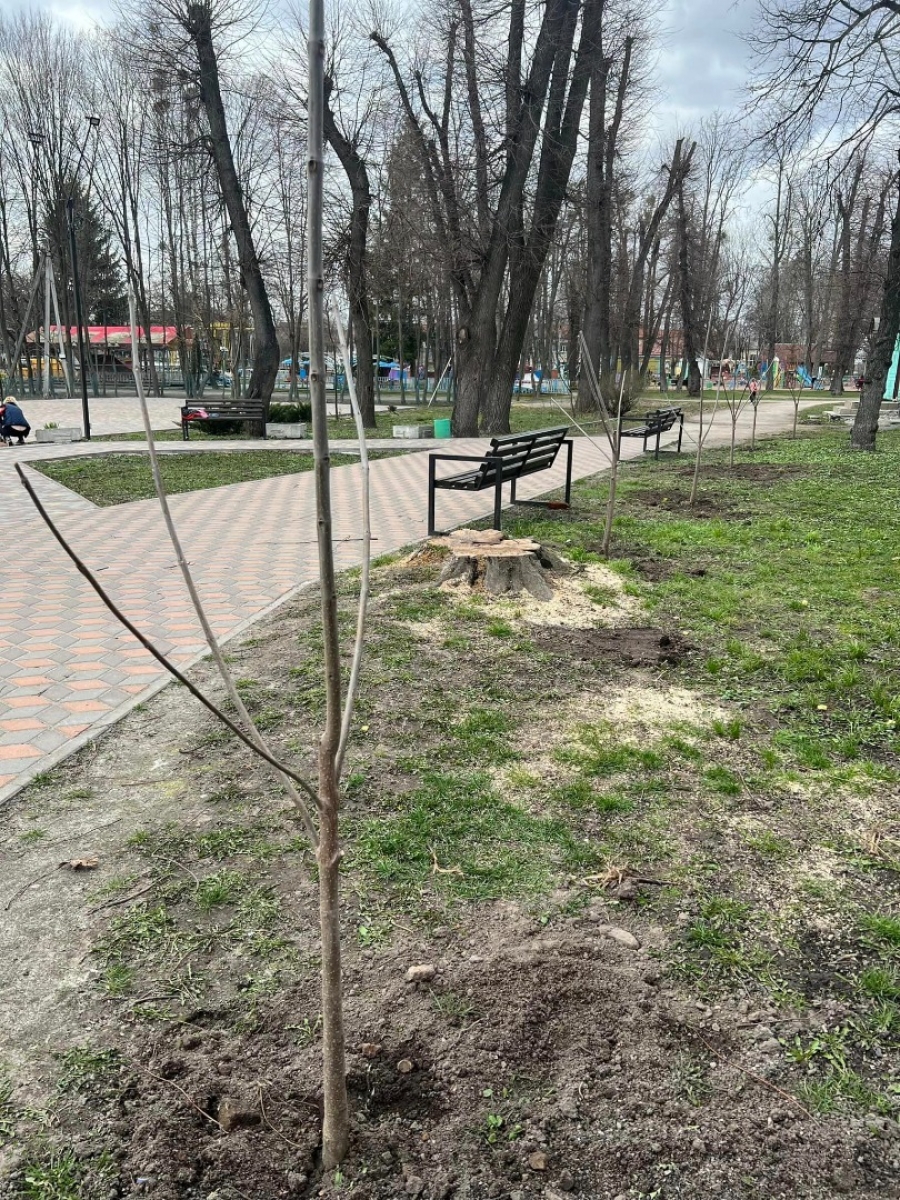 Покращуємо місто власними справами