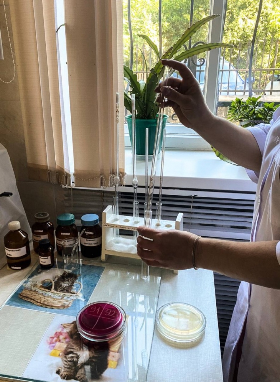 Який шлях проходить вода дорогою до нашого крана?