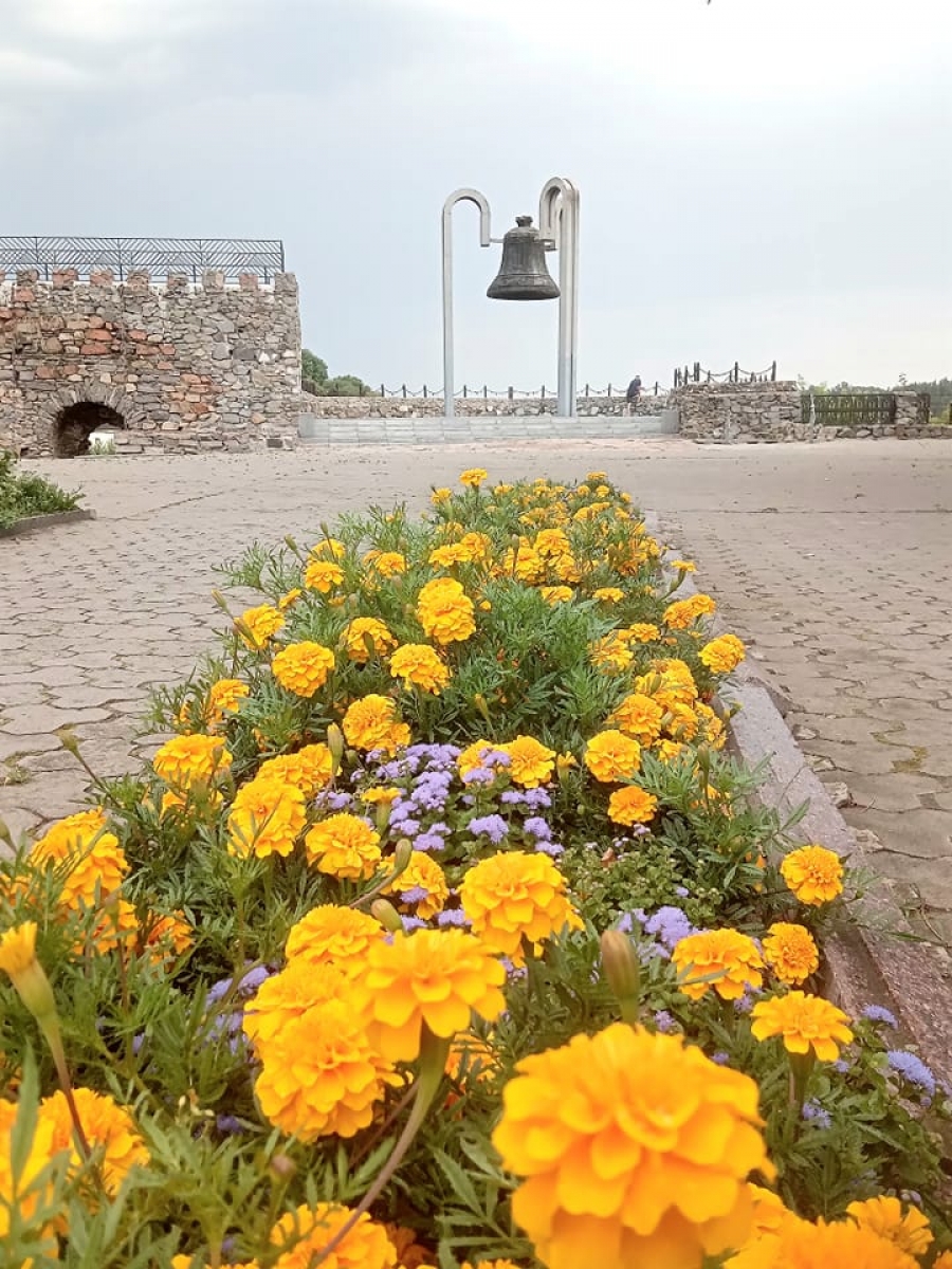 «Так, у нас крадуть: хто мільйони, а хто квіти». Містяни в соцмережі обурені зухвалим випадком на фортеці