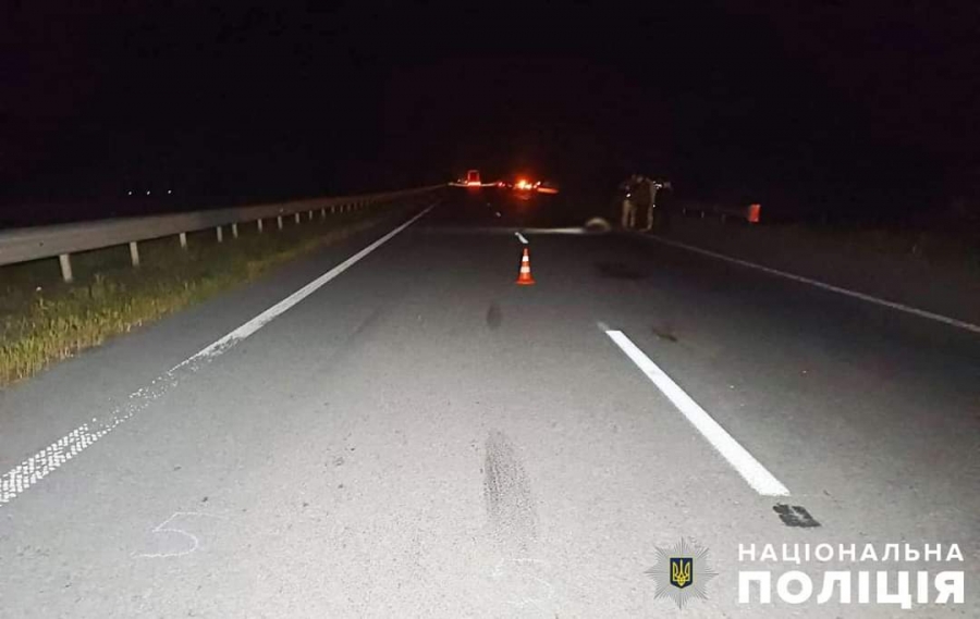 На Житомирщині внаслідок наїзду на дикого кабана, було здійснено наїзд на людей, що були на узбіччі