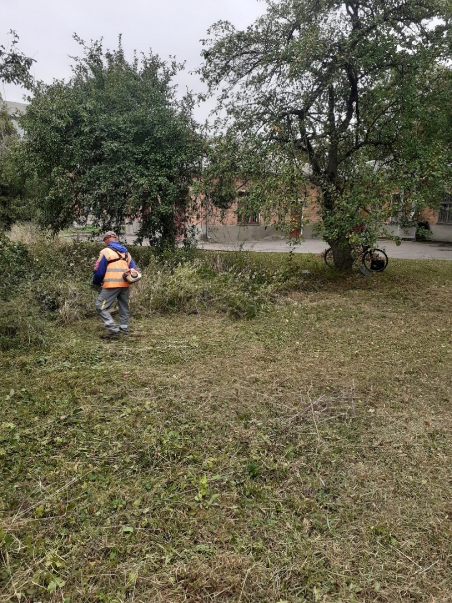«Звягельсервіс» щодня працює над благоустроєм громади. Що зроблено протягом тижня?
