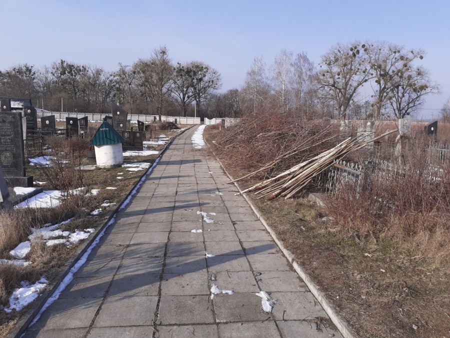 Благоустрій громади: робота КП «Звягельсервіс» протягом тижня