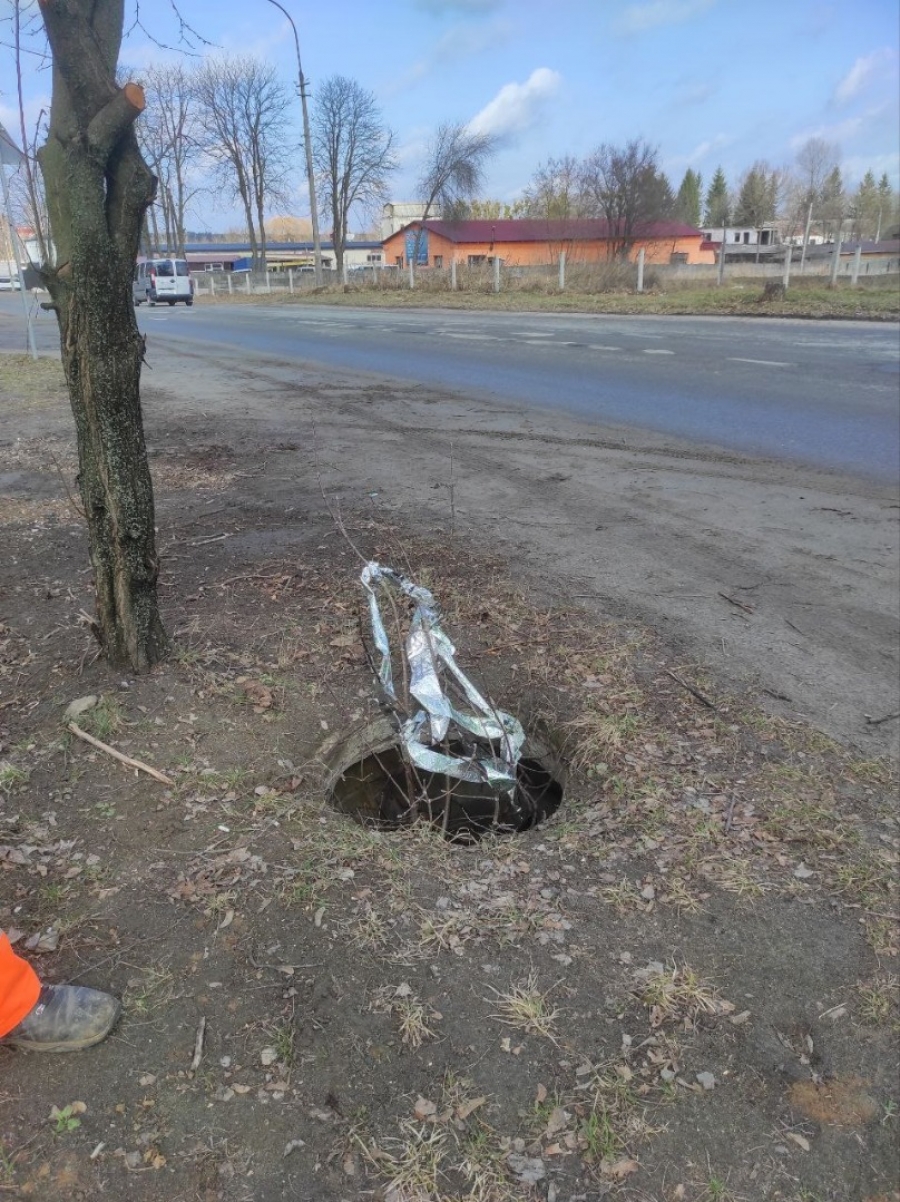 Основні роботи, виконані «Звягельводоканалом» минулого тижня