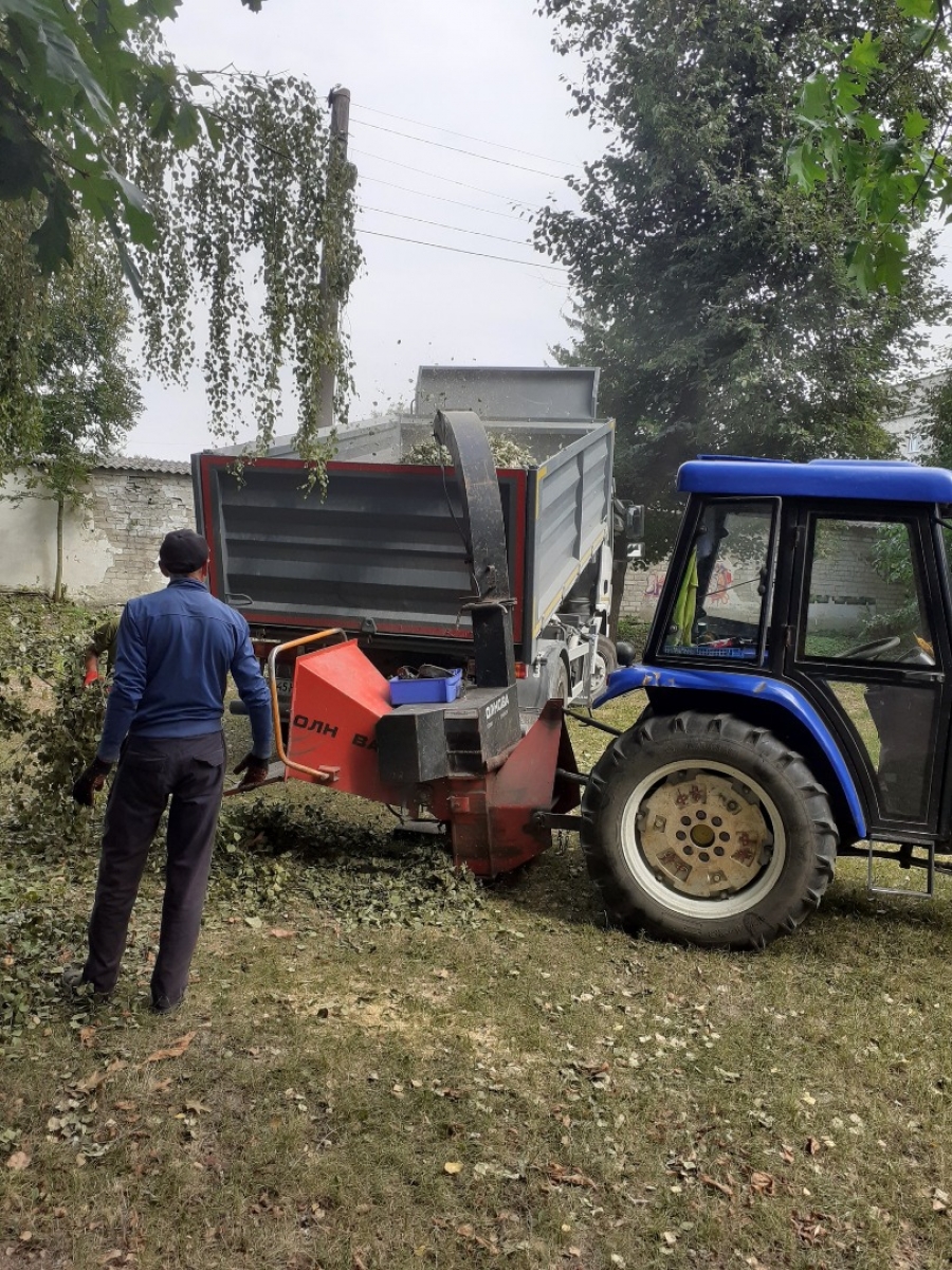 Гілля без диму: є можливість безкоштовної утилізації гілля для мешканців громади