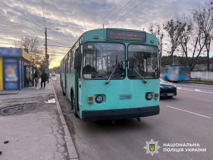 Через зауваження про собаку без намордника розбив каменем вікно в тролейбусі
