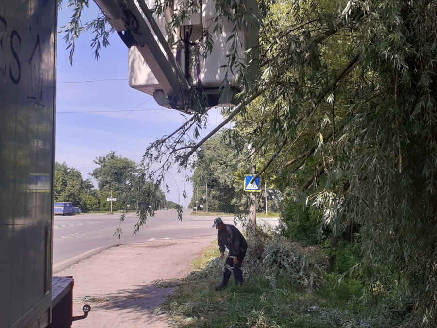 Благоустрій громади: робота КП «Звягельсервіс» протягом тижня