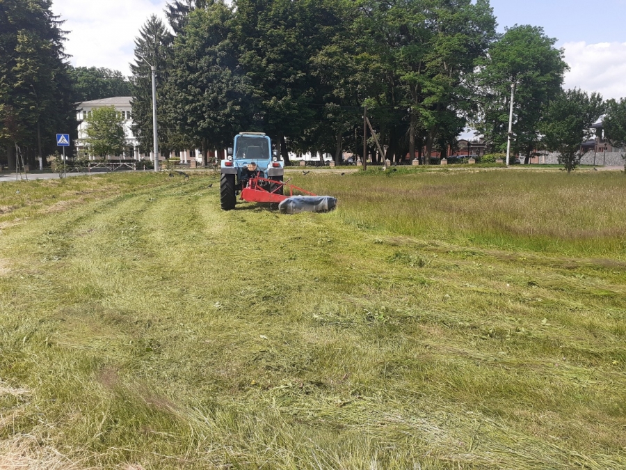 Благоустрій громади: робота КП «Звягельсервіс» протягом тижня