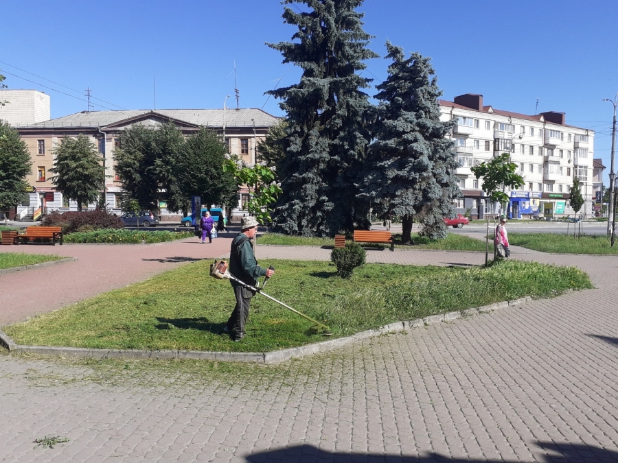 Благоустрій громади: робота КП «Звягельсервіс» протягом тижня