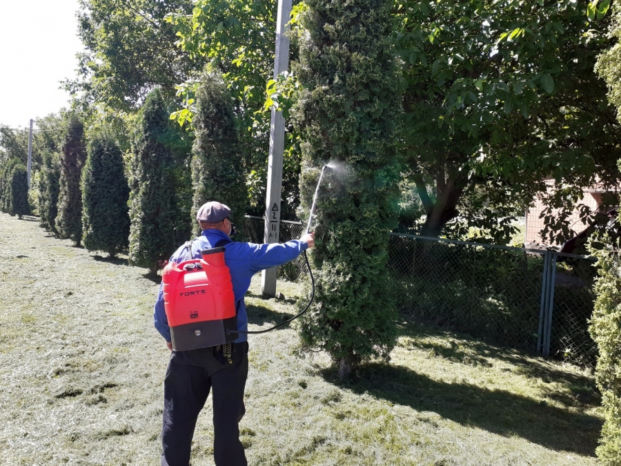 Благоустрій громади: робота КП «Звягельсервіс» протягом тижня