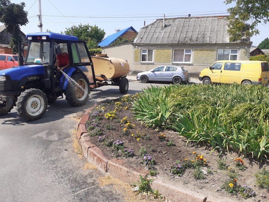 Благоустрій громади: робота КП «Звягельсервіс» протягом тижня