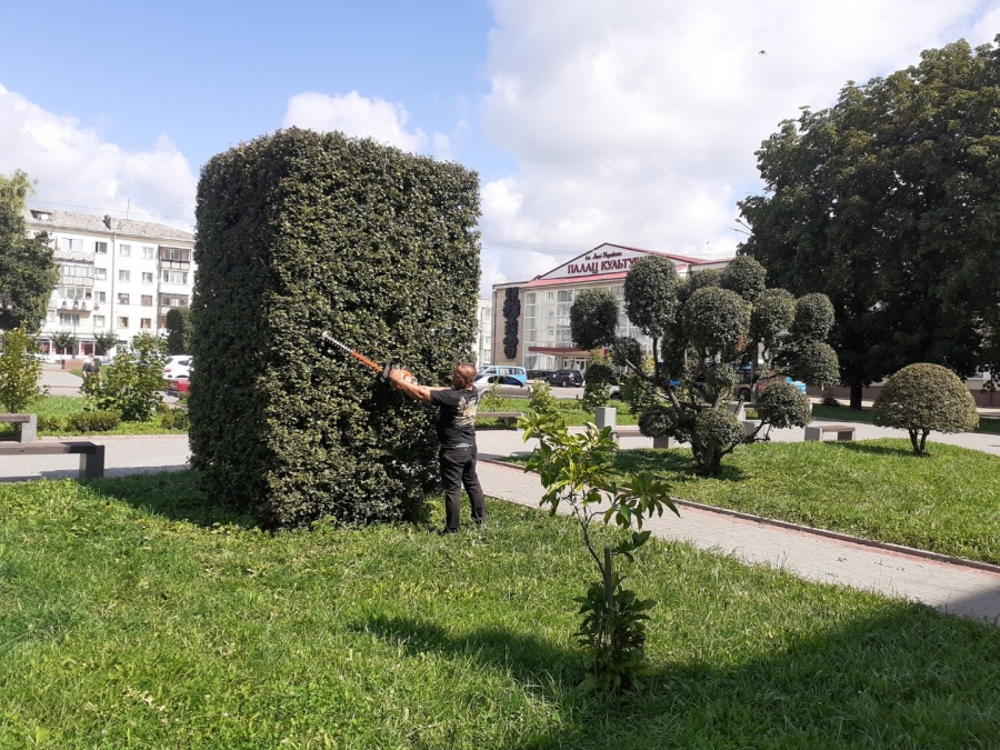 Благоустрій громади: робота КП «Звягельсервіс» протягом тижня