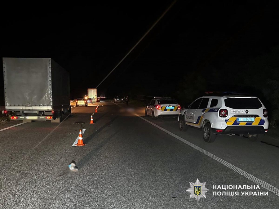 У ДТП в Житомирському районі загинув пішохід