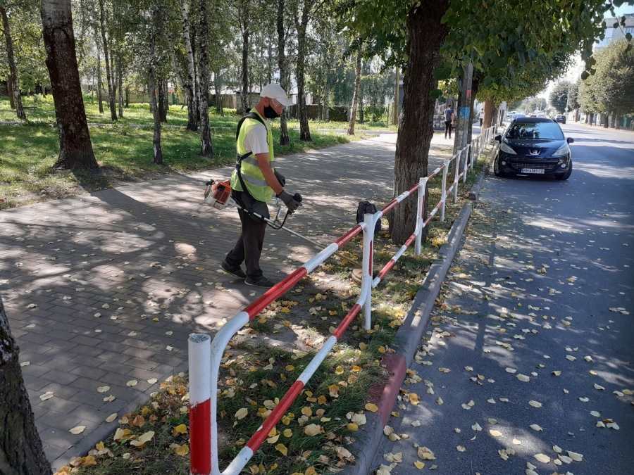 Благоустрій громади: робота КП «Звягельсервіс» протягом тижня