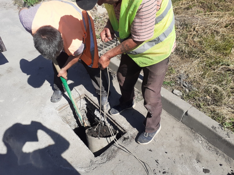 Благоустрій громади: робота КП «Звягельсервіс» протягом тижня