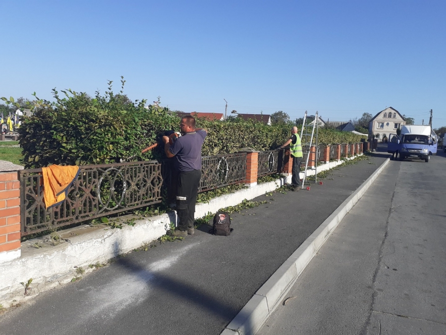 Благоустрій громади: робота КП «Звягельсервіс» протягом тижня