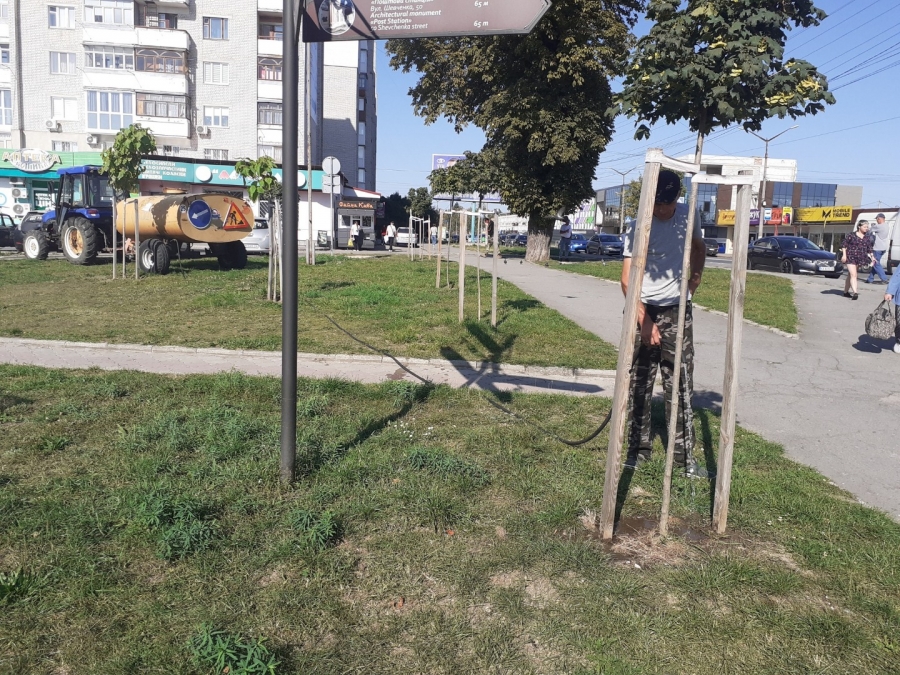 Благоустрій громади: робота КП «Звягельсервіс» протягом тижня