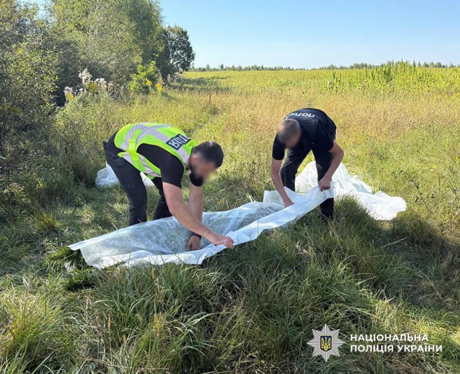 Спецоперація «Джентльмени»: поліція виявила нарковмісні рослини у Звягельському районі