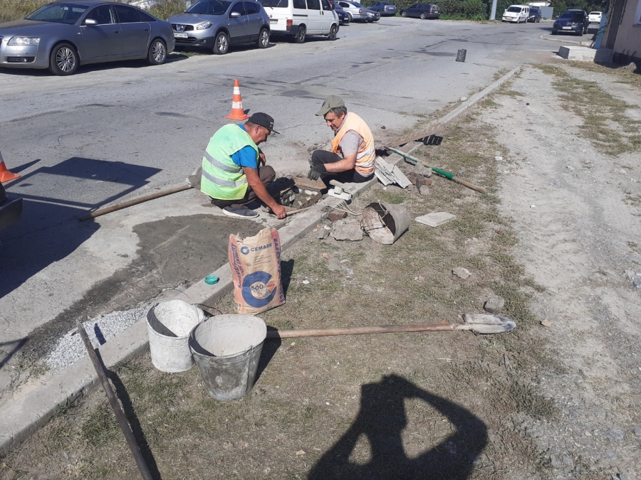 Благоустрій громади: робота КП «Звягельсервіс» протягом тижня