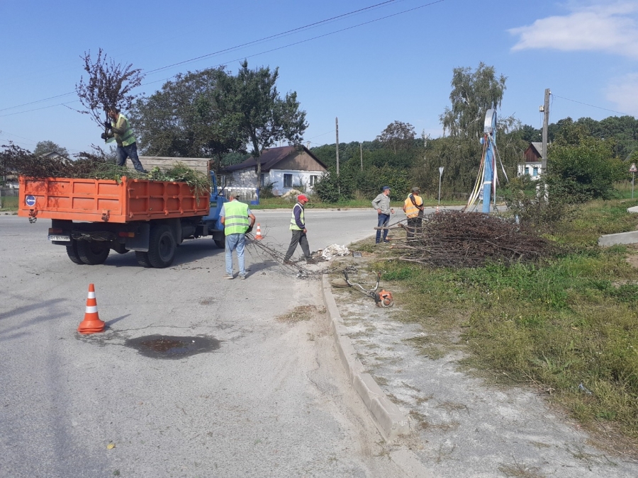 Благоустрій громади: робота КП «Звягельсервіс» протягом тижня